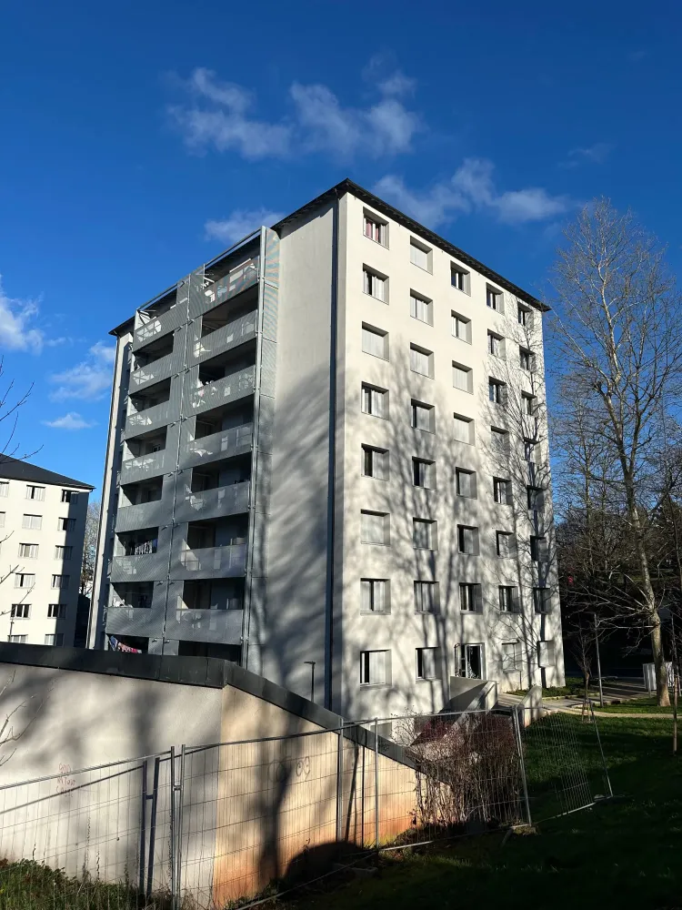 Ramadier les pins (2)